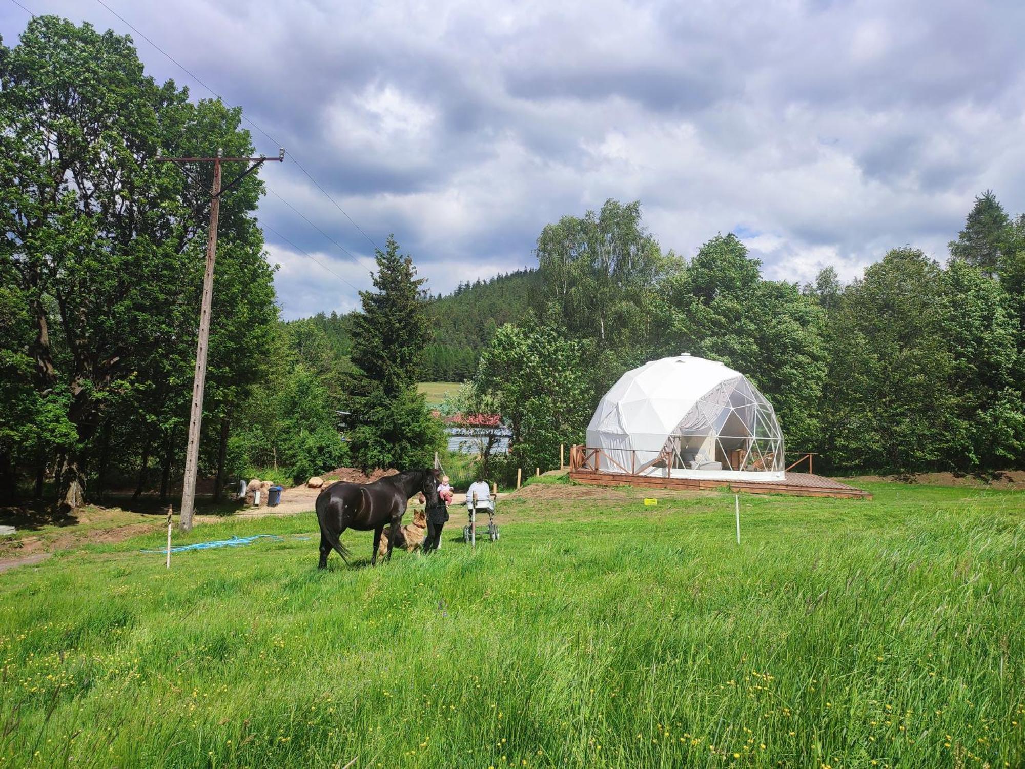Hotel Forrest Glamp Mieroszow Zewnętrze zdjęcie