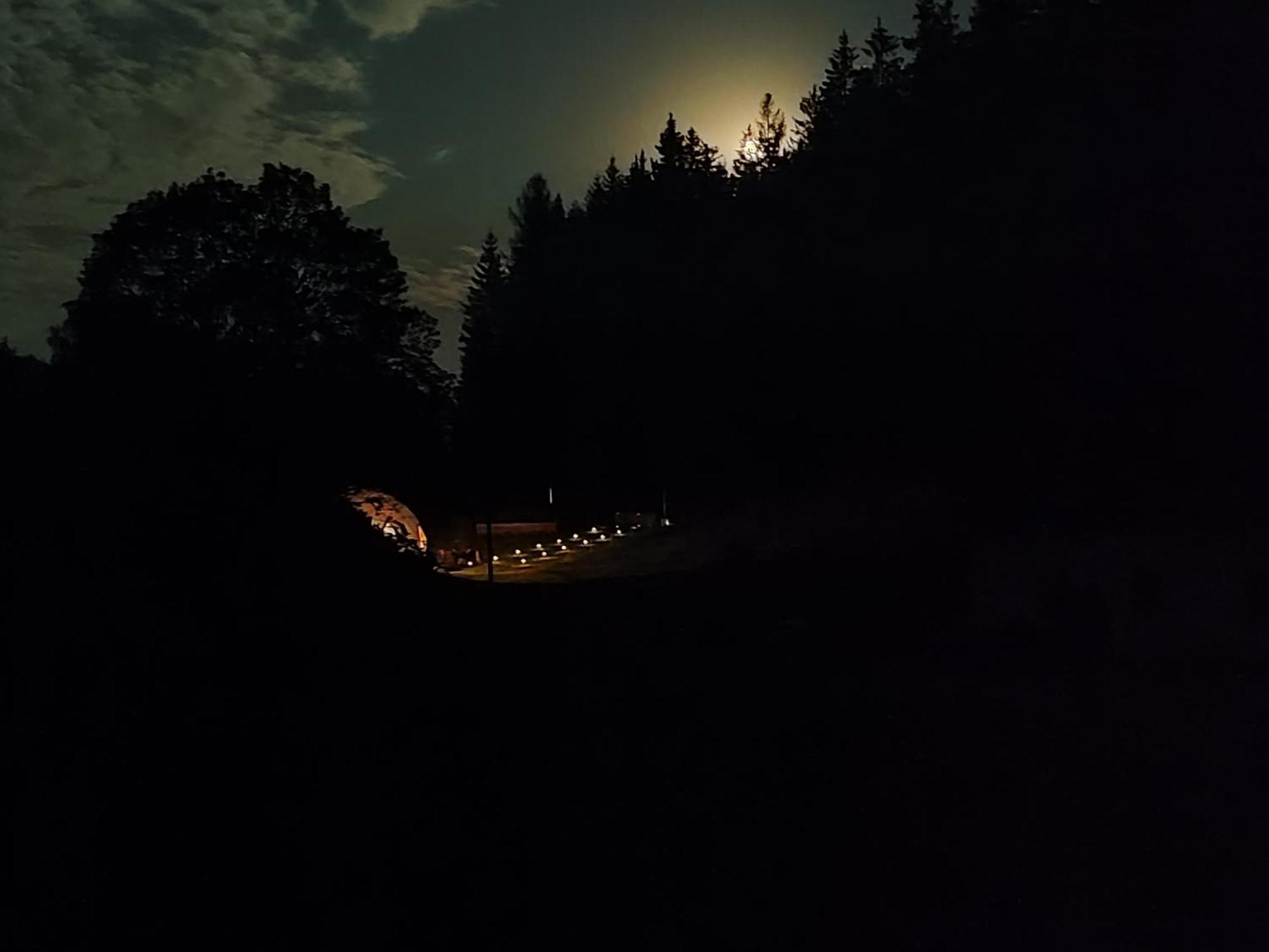 Hotel Forrest Glamp Mieroszow Zewnętrze zdjęcie