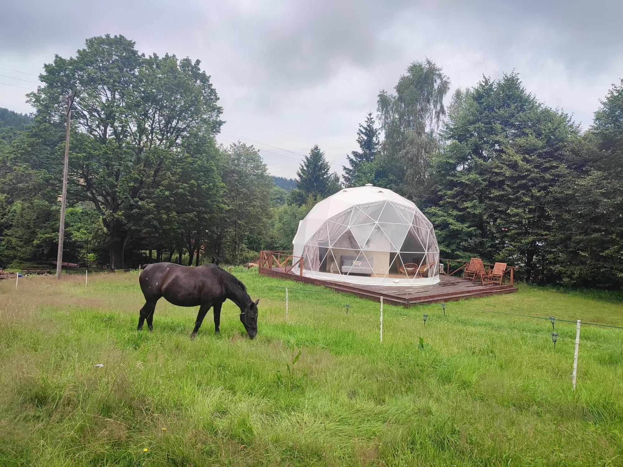 Hotel Forrest Glamp Mieroszow Zewnętrze zdjęcie